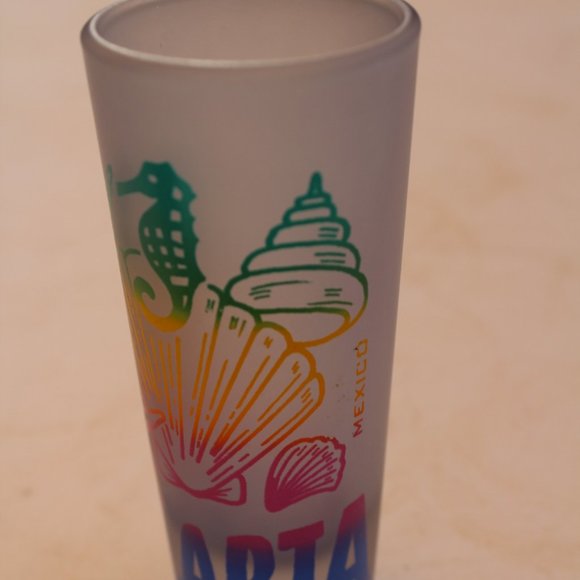 Other - Frosted Puerto Vallarta Double Shot Glass Shooter
